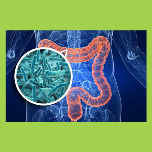 Advance Factor Complex - Flora Intestinal